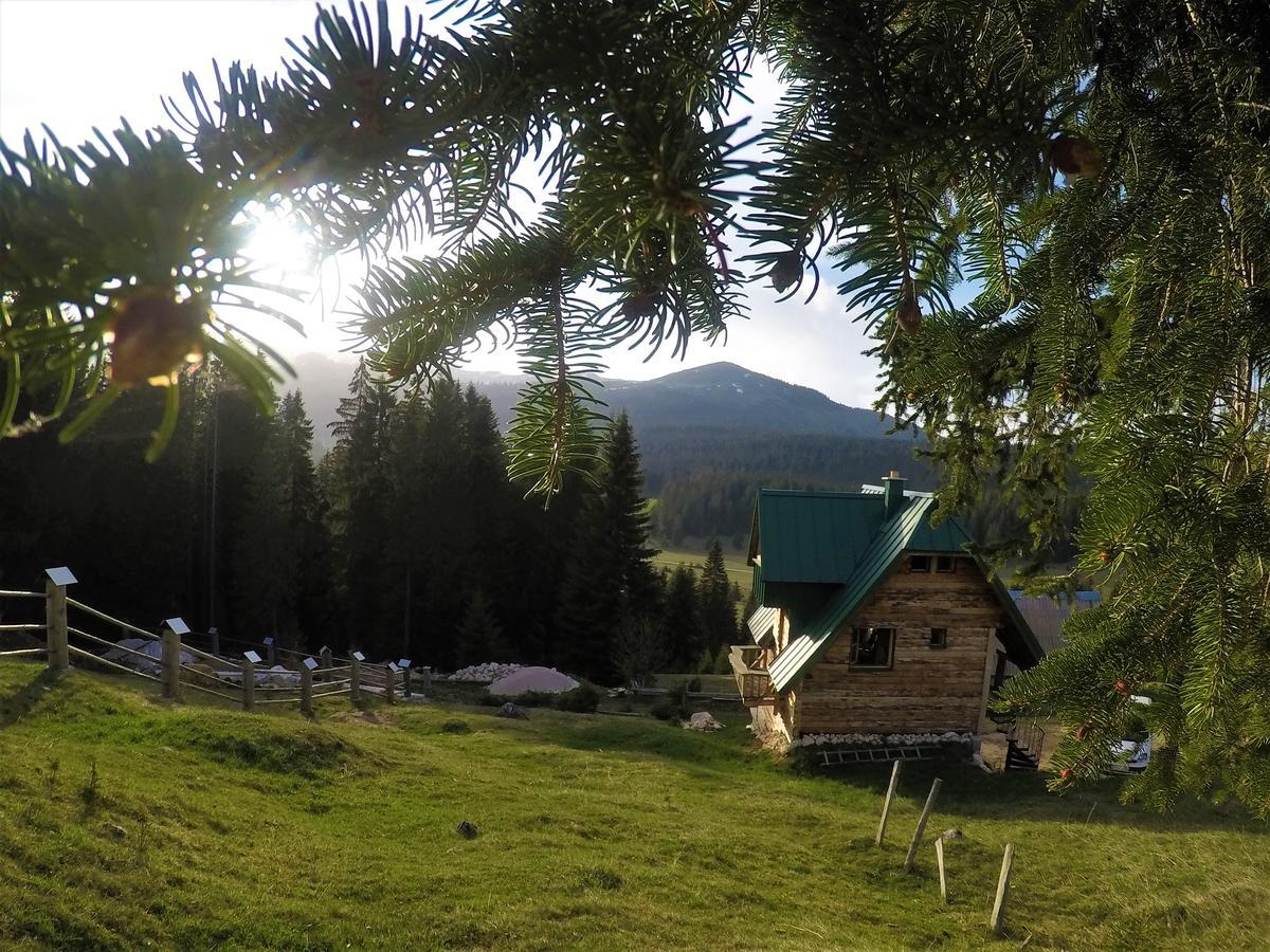 Mountain Story Apartment Zabljak  Bagian luar foto